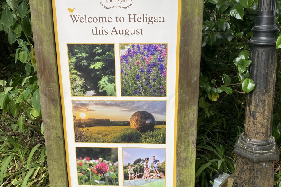 The lost gardens of heligan